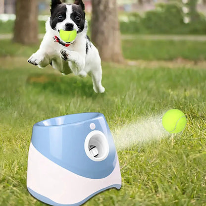 Automatic Tennis Ball Launcher - Endless Fetch, Zero Effort!